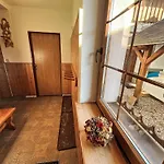 U Svycarskeho Dvora Ii By Interhome Lejlighed Janské Lázně