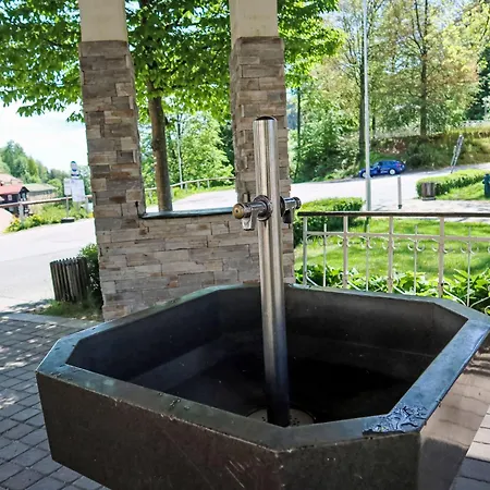 U Svycarskeho Dvora Ii By Interhome Janské Lázně