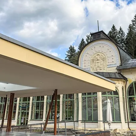 U Svycarskeho Dvora Ii By Interhome * Janské Lázně