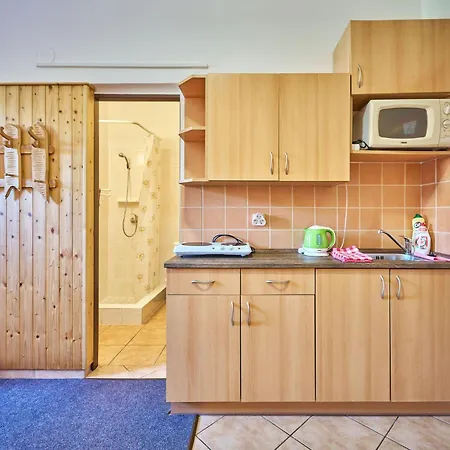 U Svycarskeho Dvora Ii By Interhome Appartement