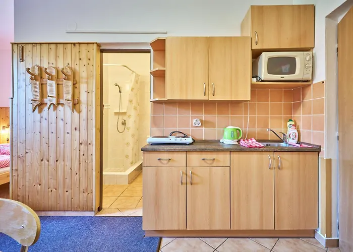 U Svycarskeho Dvora Ii By Interhome Appartamento